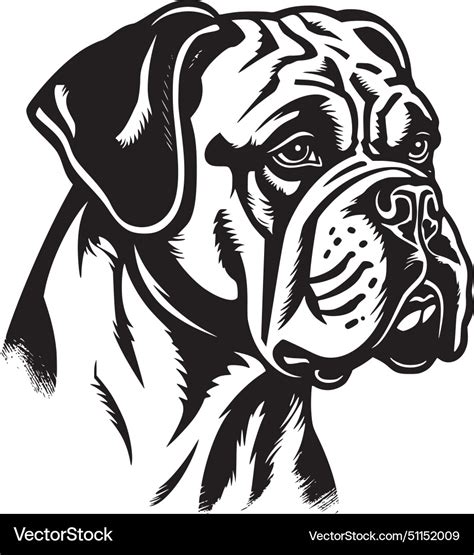 Boxer Logo 的图像结果