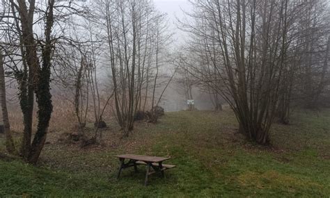 FOTO Riba crnka dobila edukativnu ploču - Velika Gorica Online