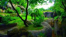 1080p Wallpapers by Wallpapers Hd 1080p Wallpapers9 1080p Wallpapers