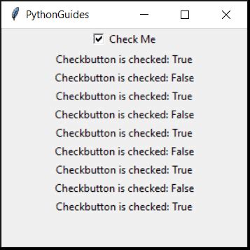 Tkinter Widgets Python Check Button 的图像结果