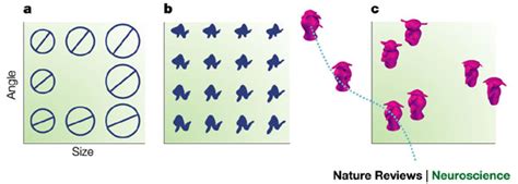 Image result for Multidimensional Objects