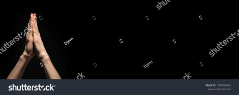 Plead 的图像结果