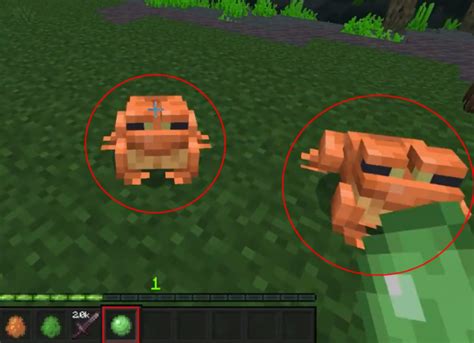 All About Frogs & How To Breed Frogs In Minecraft