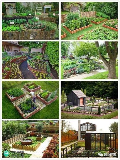 菜园规划图,菜园布置,最美庭院菜园图片(第2页)_大山谷图库