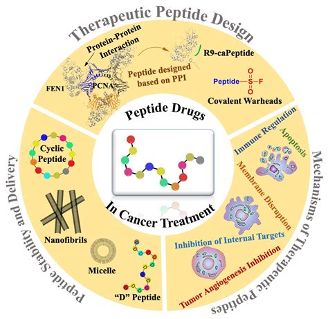 Novel Peptide Therapeutic Approaches for Cancer Treatment