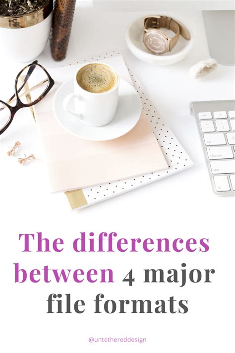 Every Single File Format 的图像结果