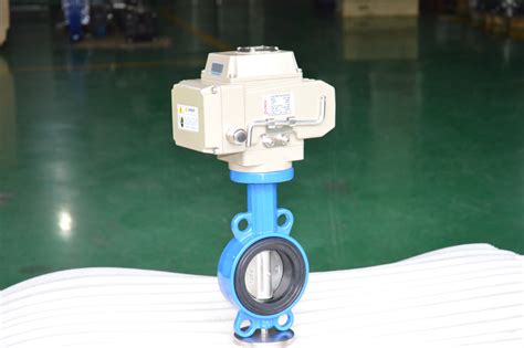 Image result for Wafer Connection Valve Installation