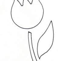 Image result for Tulip Leaf Pattern