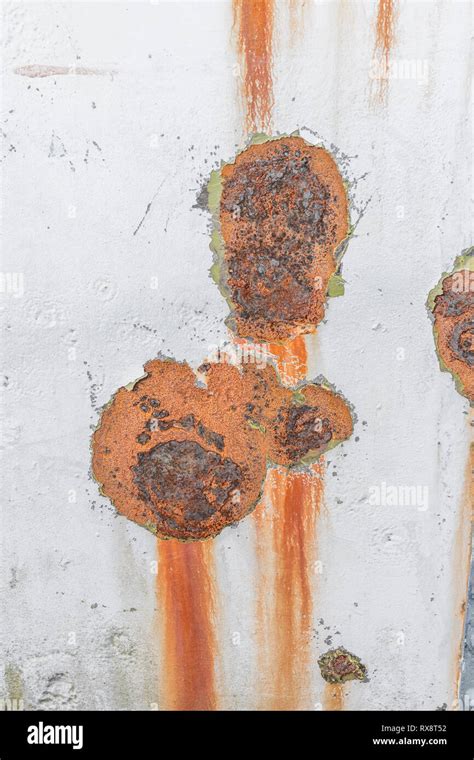 Image result for Rusty Color