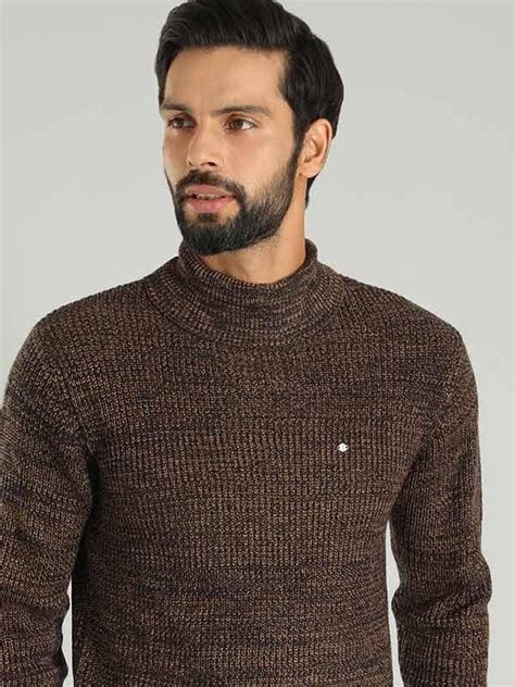 Buy Men Solid Full Sleeve Turtle Neck Sweater Online | Indian Terrain