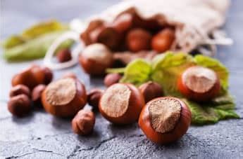 10+ recettes festives pour les enfants - Twinkl
