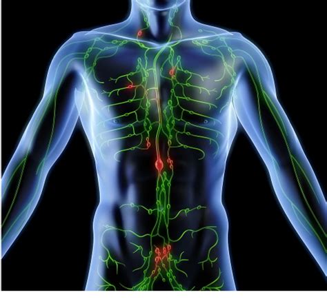 Harvard Doctor debunks health myths we have been believing