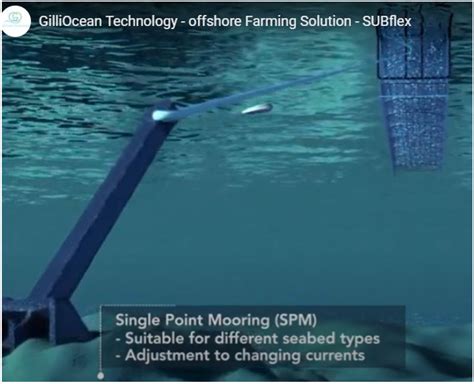 Review of the Status and Developments in Seaweed Farming Infrastructure