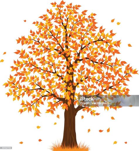 Image result for Fall Tree Vector