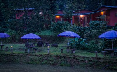 Luxury Plantation Homestay in Coorg | Best Stays