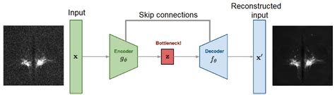 Distortion Correction and Denoising of Light Sheet Fluorescence Images