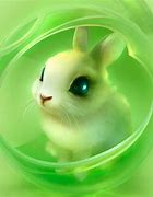 Image result for Cute Fluffy Bunny Wallpaper