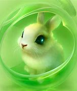 Image result for Bunny Desktop
