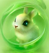 Image result for Bunny HD Wallpaper