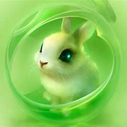 Image result for Colorful Bunny Face