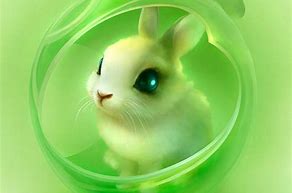 Image result for Cute Bunny Screensavers