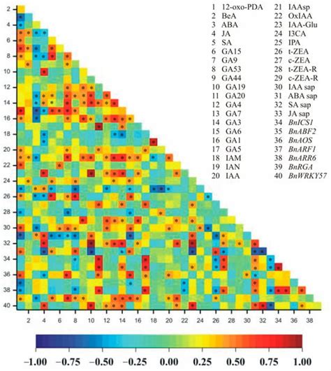 International Journal of Molecular Sciences | An Open Access Journal ...