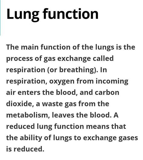 what are the function of lungs - Brainly.in