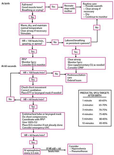 Image result for Neonatal Resuscitation Algorithm