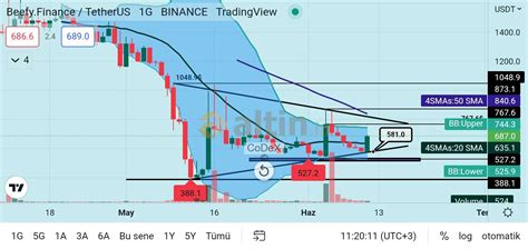 BIFI Günlük Grafik Görünümü 11.06.2022 - Altin.in