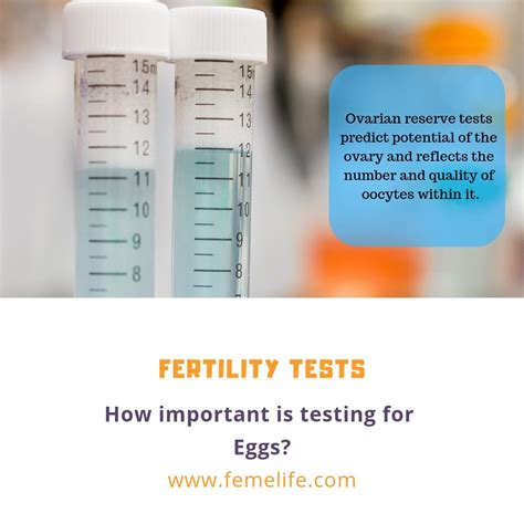 Fertility Test For Men and Women - FEMELIFE