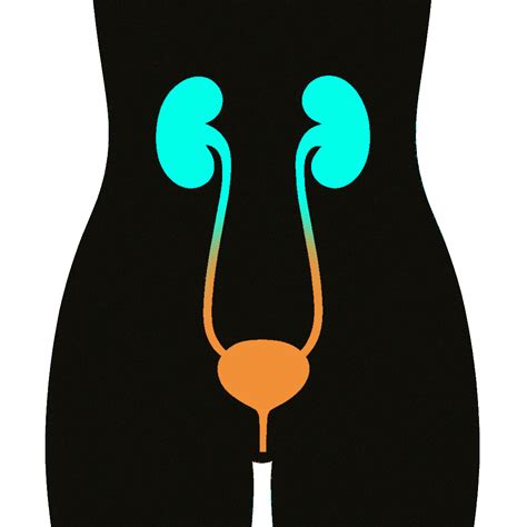 Albumin Random Urine Test with Creatinine | Ulta Lab Tests