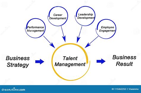 Talent Management 的图像结果