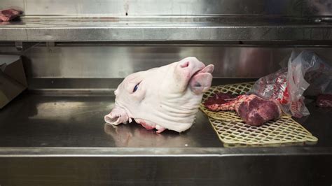 Eating Meat 的图像结果