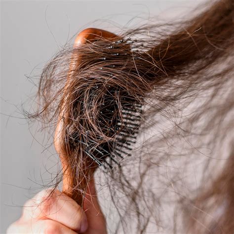 The Best Products For Dry & Damaged Hair – mCaffeine