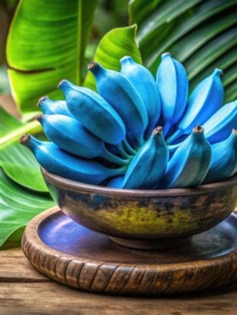 Image result for Eating Blue Java Banana