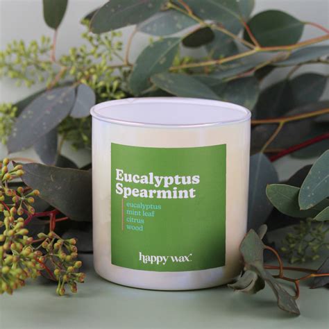 Eucalyptus Spearmint Single Wick Candle - Happy Wax®