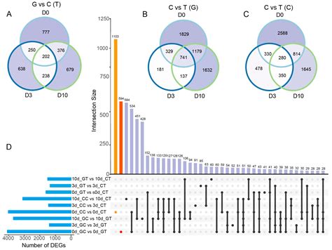 Physiological and Transcriptome Analyses of Photosynthesis in Three ...
