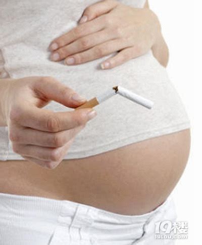 怀孕初期出现胎停育，或是这些原因导致的！-孕早期(1-12周)-准妈妈论坛-杭州19楼