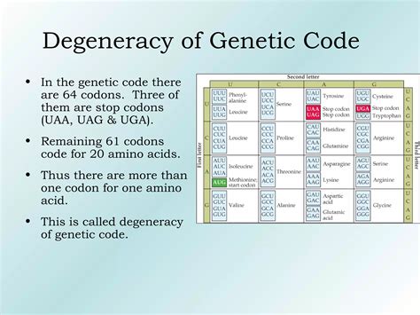 Image result for Genetic Code Videos