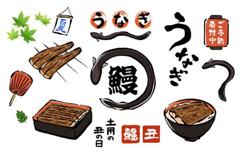 Image result for First Coding Language