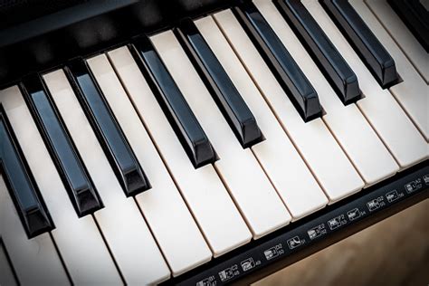 Image result for Piano Roblox Corpse Bride