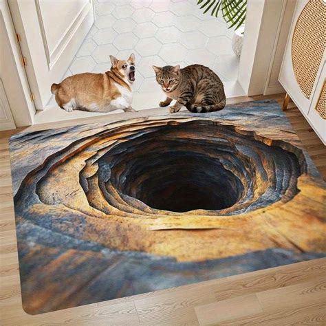 Amazon.com: 3D Optical Illusion Hole in The Floor Rug Front Door Mat ...