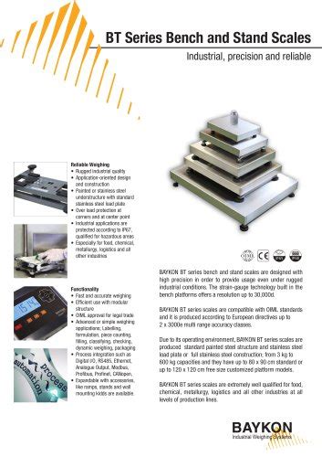 Baykon BT Series Bench and Stand Scales - BAYKON Industrial Weighing ...