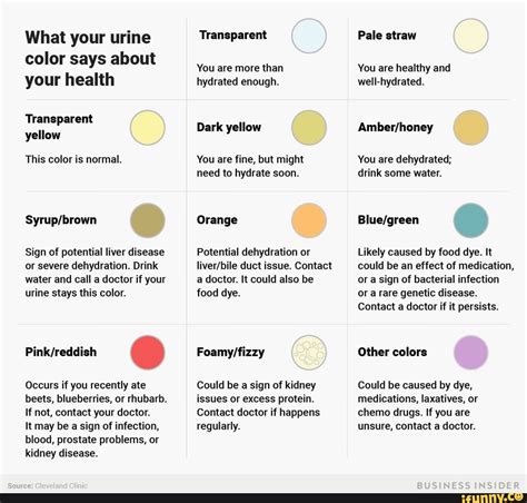 Urine Color If Pregnant