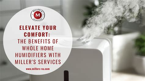 Image result for Benefits of Humidifiers