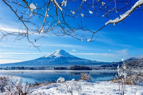 Image result for Image Search Database API Design
