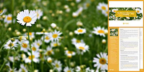 Biodiversity and Ecological Sampling Lesson | KS3 | Beyond