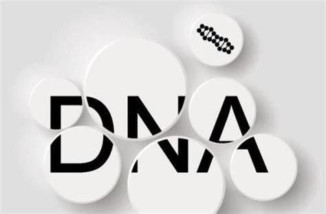 DNA亲子鉴定结果准确吗?
