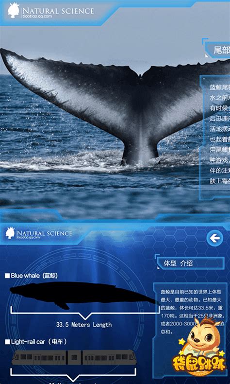 蓝鲸宝贝爱百科免费下载_华为应用市场|蓝鲸宝贝爱百科安卓版(1.2.1)下载