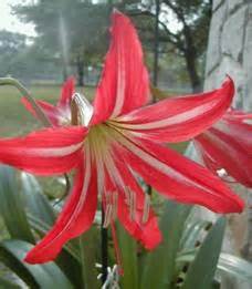 Horticulture :: Landscaping :: Types of garden